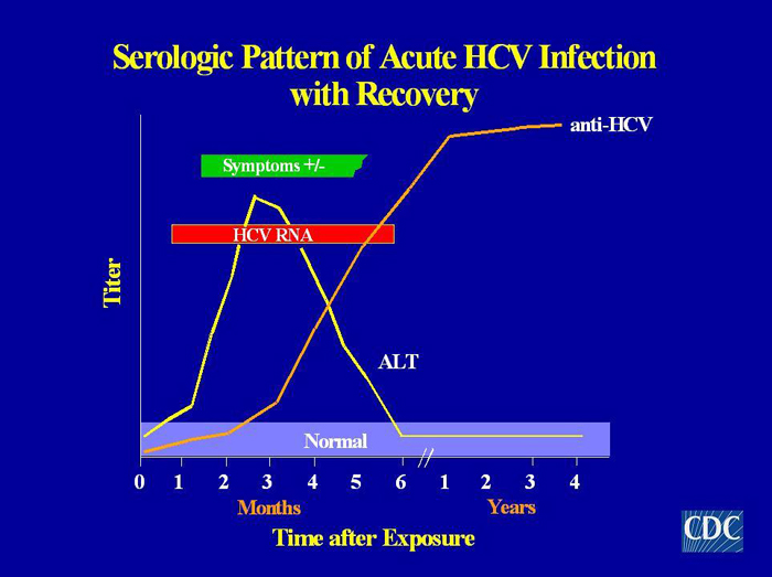 Сегмент автомобилей hcv